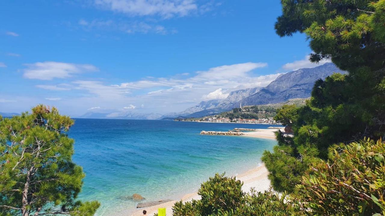 Vila Maslina Apartments Mit Pool Und Garten Nahe Am Strand Tucepi Luaran gambar